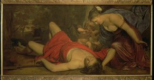 Venus weint über den Tod von Adonis von Cornelius Holsteyn