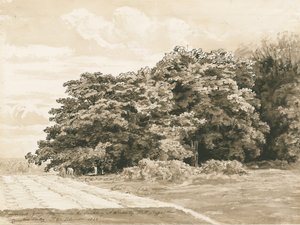 Wrottesley Hall - Der Strauchgarten von Cornelius Varley