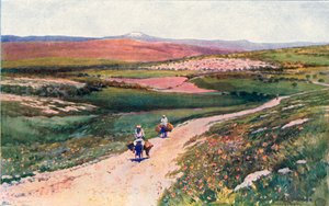 Kana von der Straße nach Nazareth