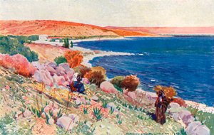 Ort von Bethsaida