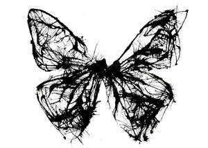 Schwarzer Schmetterling, 2021 von Courtenay Kusitor
