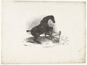 Pferd springt über ein Hindernis von Courtin