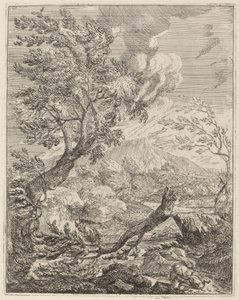 Der verdorrte Baum von Crescenzio Onofri