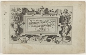 Titelblatt und elf Drucke von Blumen, Pflanzen und Früchten von Crispijn van de Passe (I) (attributed to)
