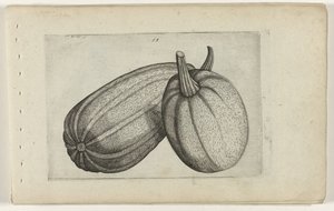 Zwei Melonen von Crispijn van de Passe (I) (attributed to)