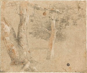 Baumskizzen von Cristofano Allori