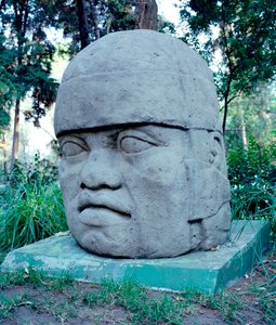 Präkolumbische Zivilisation: kolossaler Olmekenkopf. 10.-7. Jahrhundert v. Chr. Mexiko, Park Musée de La Venta von Culture Olmec