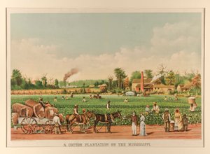 Eine Baumwollplantage am Mississippi