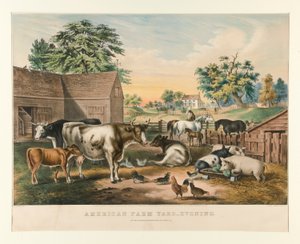 Amerikanischer Bauernhof - Abend