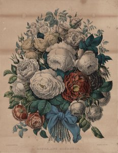 Rosen und Rosenknospen