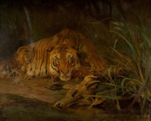 Tiger und Beute von Cuthbert Edmund Swan
