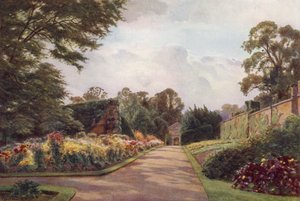 Frühe Chrysanthemen, Claremont von Cyril Ward