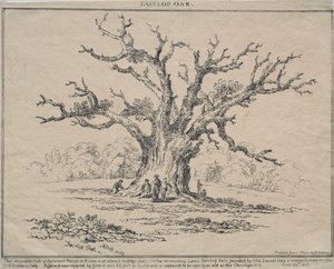 Fairlop Oak, 1811 von D. H. Redman