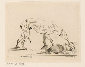 Fressender Hund von D. Merrem