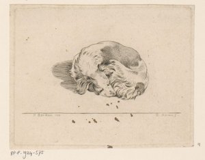 Schlafender Hund von D. Merrem