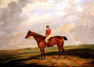 Rennpferd mit Jockey