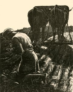 Der verborgene Schatz, 1864