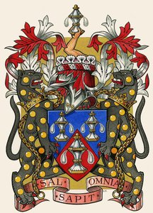 Die Zünfte von London: Die ehrwürdige Gesellschaft der Salzer von Dan Escott