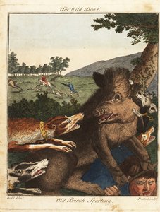 Jäger und Hunde jagen einen Wildschwein in England von Daniel (after) Dodd