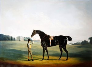 Ein Pferd und ein Stallbursche auf dem Gelände von Hooton Hall, Cheshire von Daniel Clowes