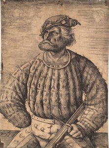 Kunz von der Rosen, Hofnarr von Kaiser Maximilian