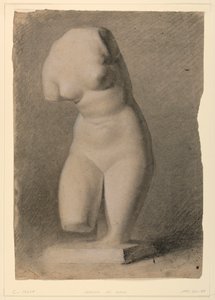 Weiblicher Torso von einem Gipsabdruck