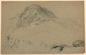 Blick nach Süden, Mount Mansfield, Vermont von Daniel Huntington