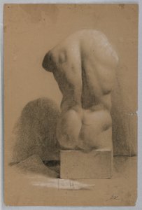 Männlicher Torso aus einem Gipsabguss