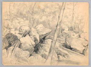 In der Nähe der Wasserfälle des Wildcat Brook, Jackson, New Hampshire von Daniel Huntington