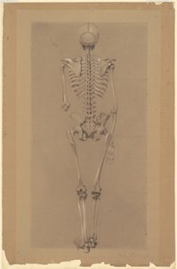 Rückansicht eines Skeletts von Daniel Huntington