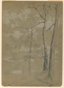 Studie von Hemlock und Buche, Weißer See