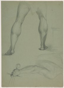 Zwei teilweise anatomische Studien