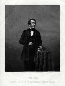 David Livingstone, schottischer Missionar und Afrikaforscher, 1880