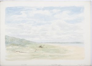 Holy Island, 1899 von Daniel Oliver
