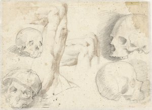 Vier Studien eines Schädels von Daniele da Volterra