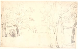 Landschaft mit verstreuten Bäumen