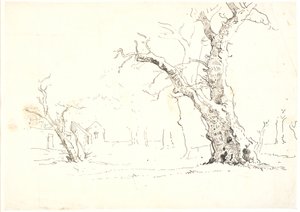 Landschaft mit großen Eichen, links einige Häuser