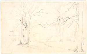 Waldinterieur
