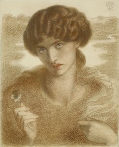 Studie für "Water Willow", 1871 von Dante Gabriel Charles Rossetti
