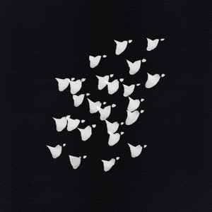 Abstrakter Vogelflug