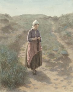 In den Dünen von Zandvoort von David Adolph Constant Artz