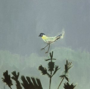 Seltsamer Vogel landet von David Alan Redpath Michie