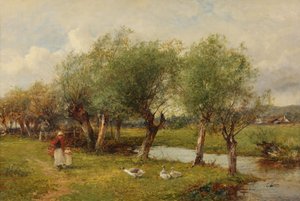 Die Gänse füttern