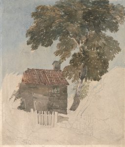 Hütte und Bäume