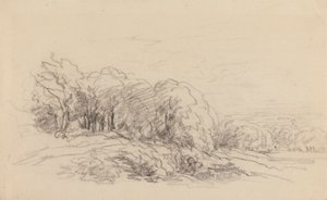 Landschaft mit Bäumen