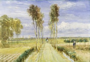 Die Pappelallee von David Cox