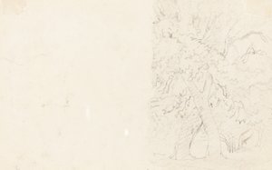 Bäume (verso) von David Cox