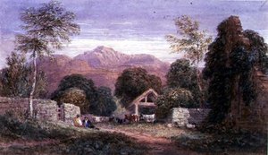 Blick auf Cader Idris