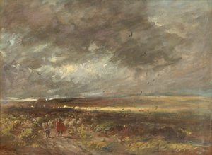 Moorlandschaft: Schäfer und Schafe