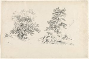 Kastanie und Kiefer, 1869